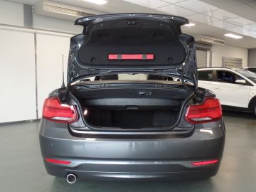BMW 2 Serie Cabrio 218i High Executive Xenon, Leder, Stoelverwarming, Cruise 