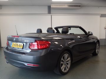 BMW 2 Serie Cabrio 218i High Executive Xenon, Leder, Stoelverwarming, Cruise 