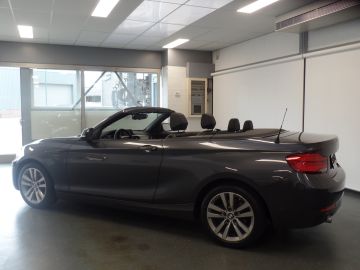 BMW 2 Serie Cabrio 218i High Executive Xenon, Leder, Stoelverwarming, Cruise 