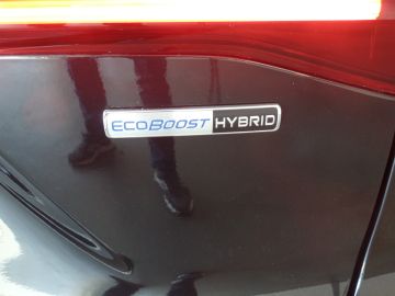 Ford Focus Wagon 1.0 EcoBoost Hybrid Titanium 125pk automaat, Nieuw model!! 
